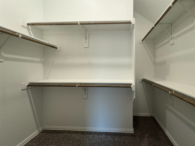 spacious closet with dark colored carpet