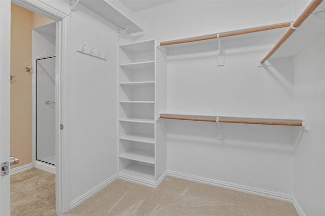 walk in closet featuring light colored carpet