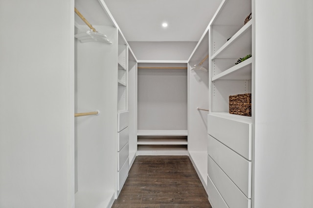 spacious closet featuring dark wood-style flooring