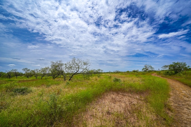 view of local wilderness with a rural view