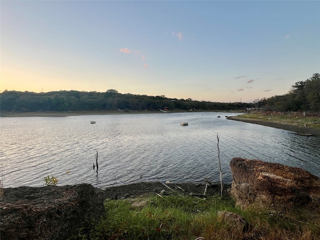 view of water feature