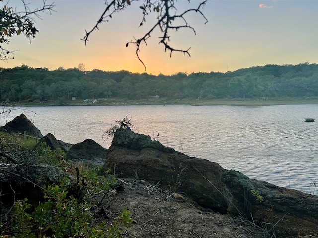 property view of water