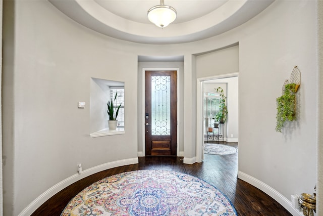 foyer featuring dark hardwood / wood-style flooring, a healthy amount of sunlight, and a tray ceiling