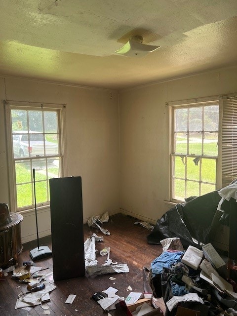 miscellaneous room with wood-type flooring and plenty of natural light