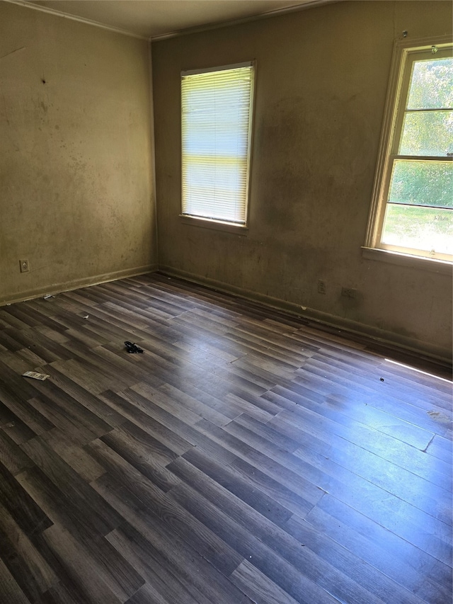 spare room featuring hardwood / wood-style flooring and ornamental molding