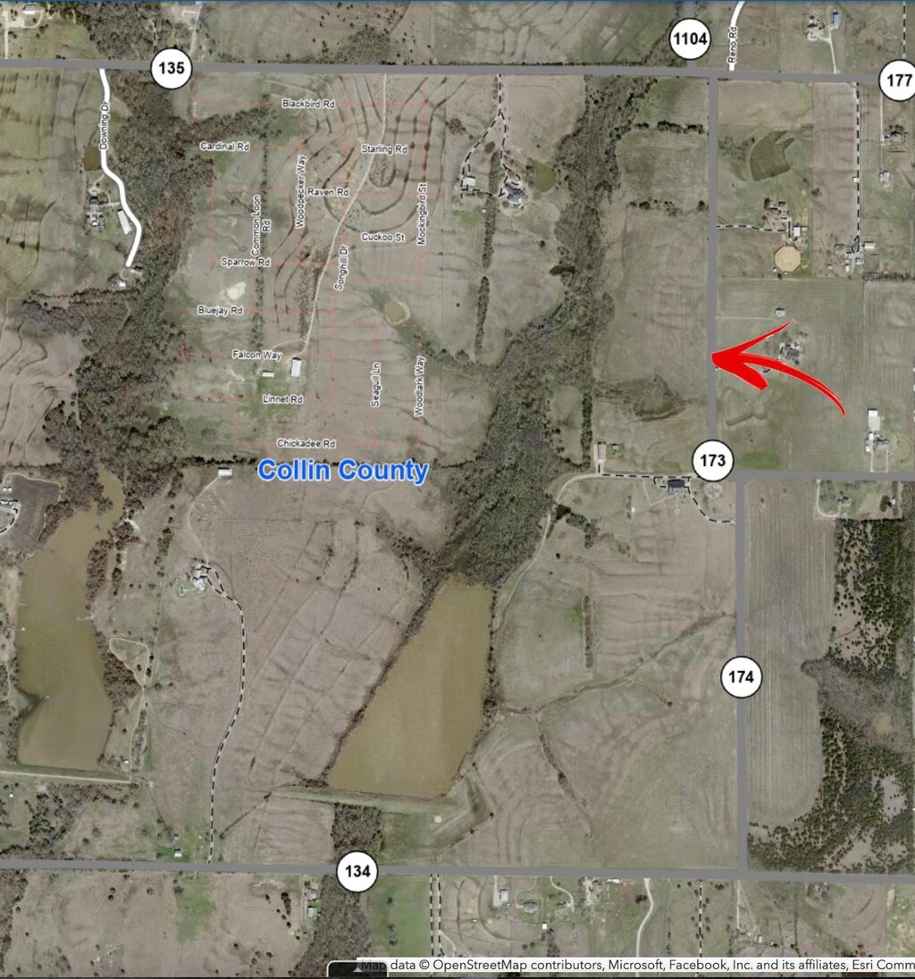 TBD2 County Road 173, Celina, TX 75009