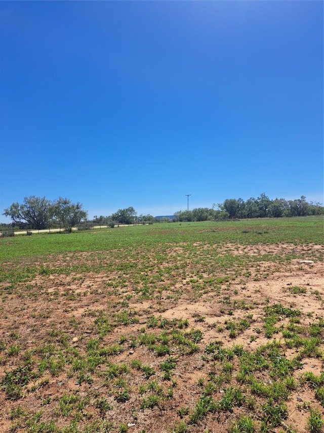 view of yard featuring a rural view