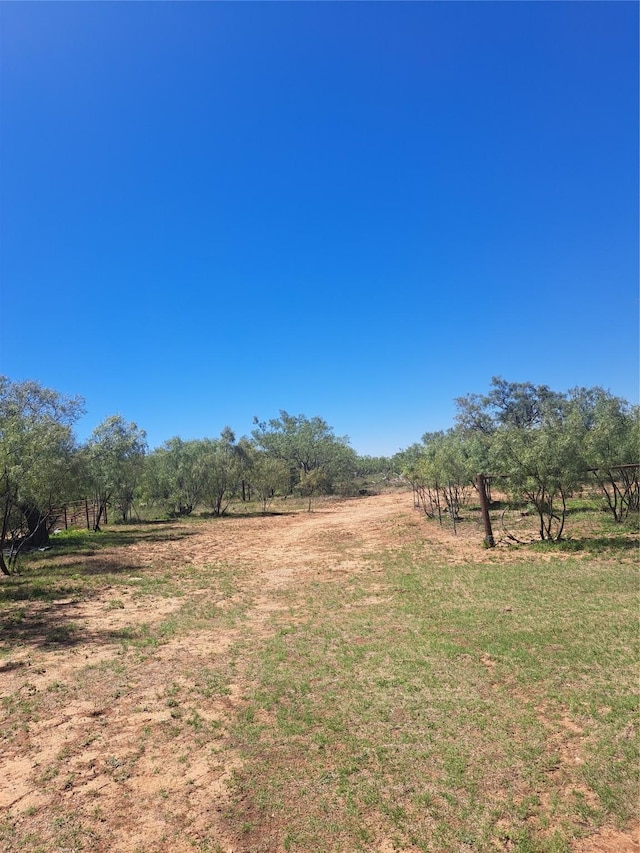 view of yard featuring a rural view