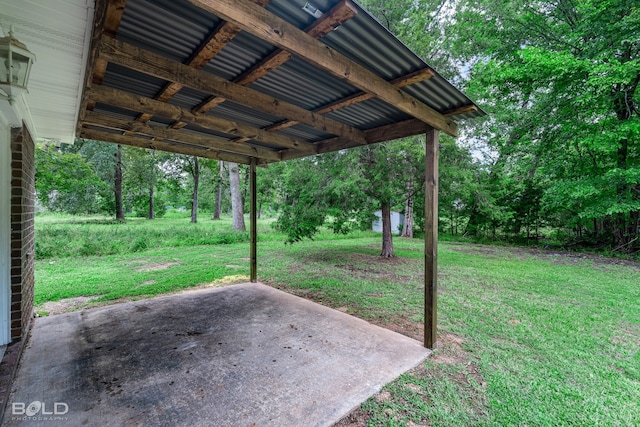 view of yard featuring a patio area