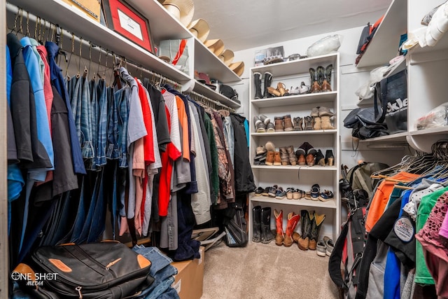 spacious closet featuring carpet flooring