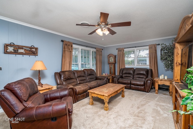 carpeted living room with ceiling fan, ornamental molding, and a textured ceiling