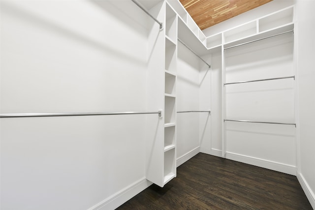 spacious closet with dark hardwood / wood-style flooring