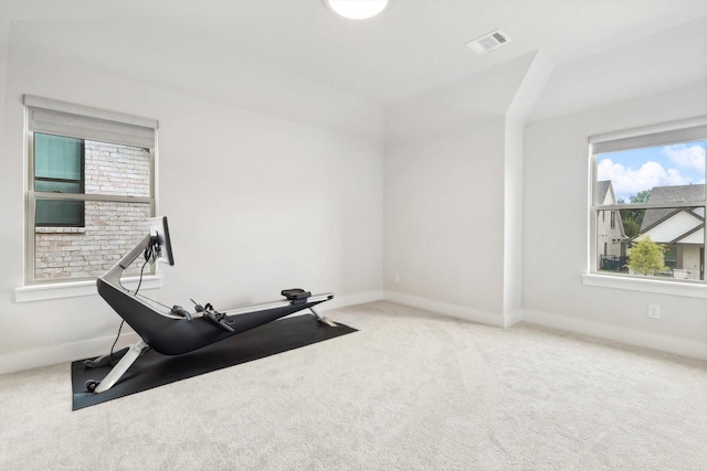 workout area featuring a wealth of natural light and carpet floors