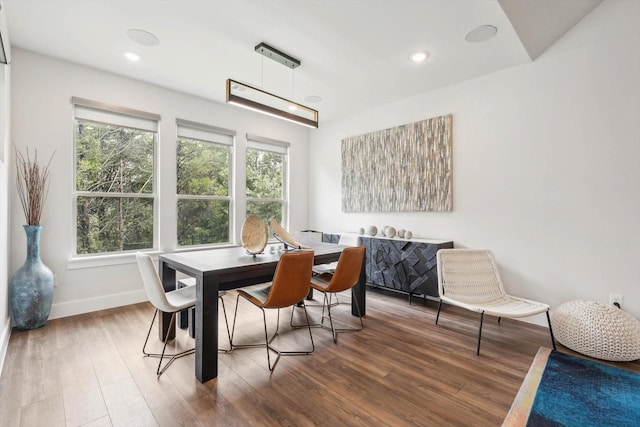 dining space featuring hardwood / wood-style floors