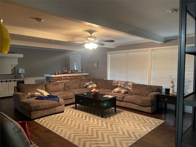 living room featuring beam ceiling, hardwood / wood-style flooring, ornamental molding, and ceiling fan