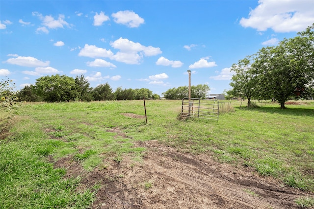 view of yard with a rural view