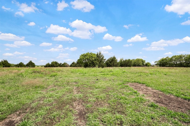 view of nature with a rural view