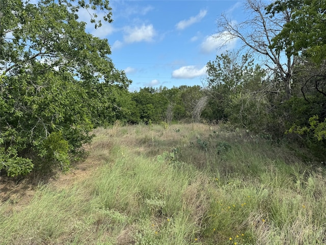 3610 Woodlake Dr, Granbury TX, 76048 land for sale