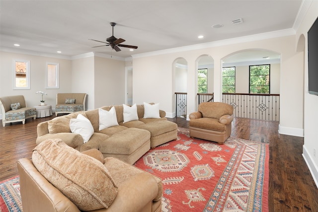 living room featuring ceiling fan, ornamental molding, and dark wood-type flooring