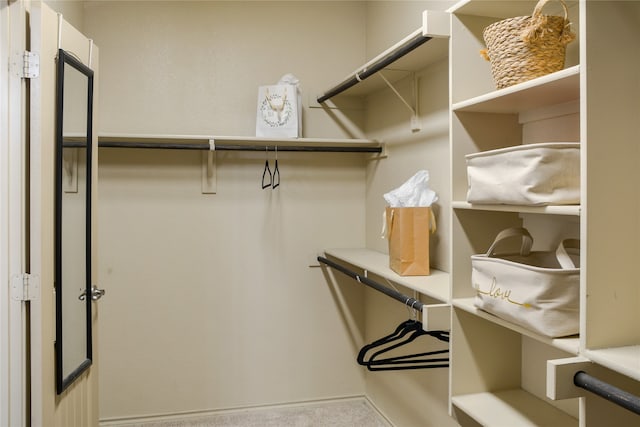 spacious closet featuring carpet floors