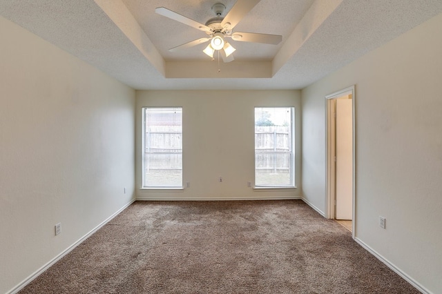 spare room with a textured ceiling, plenty of natural light, a raised ceiling, and light colored carpet