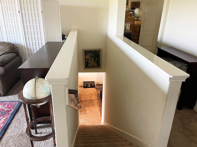 stairs featuring carpet floors