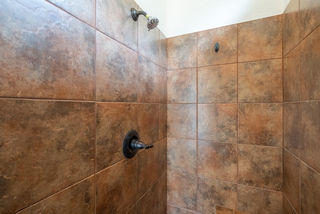 room details with tiled shower