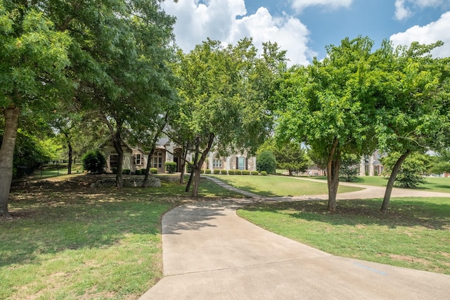 view of community featuring a yard