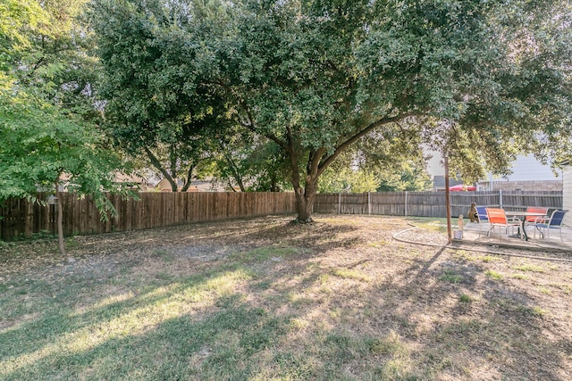 view of yard featuring a patio