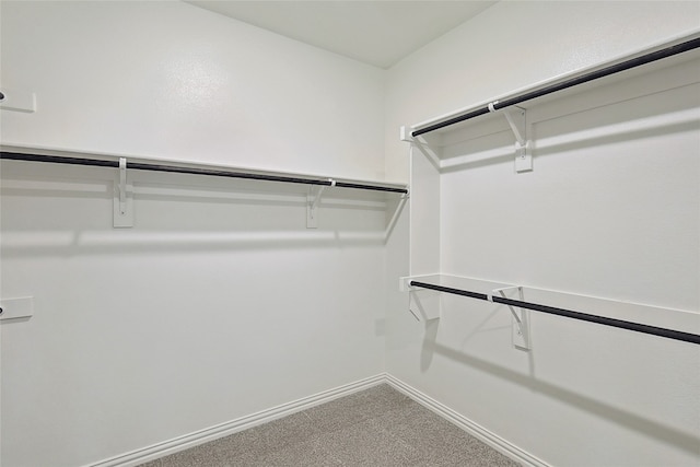 spacious closet featuring carpet floors