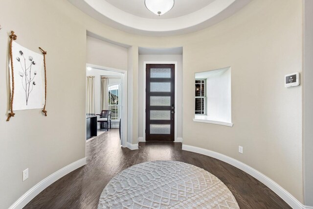 foyer with wood-type flooring and a raised ceiling