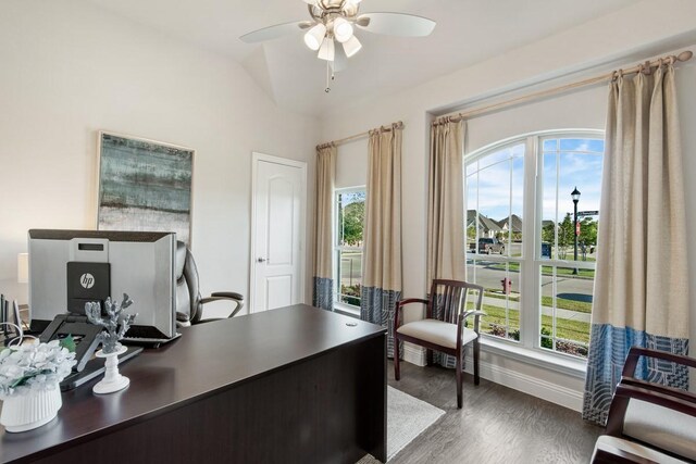 office featuring dark hardwood / wood-style flooring, a wealth of natural light, and ceiling fan