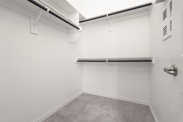 spacious closet with light colored carpet