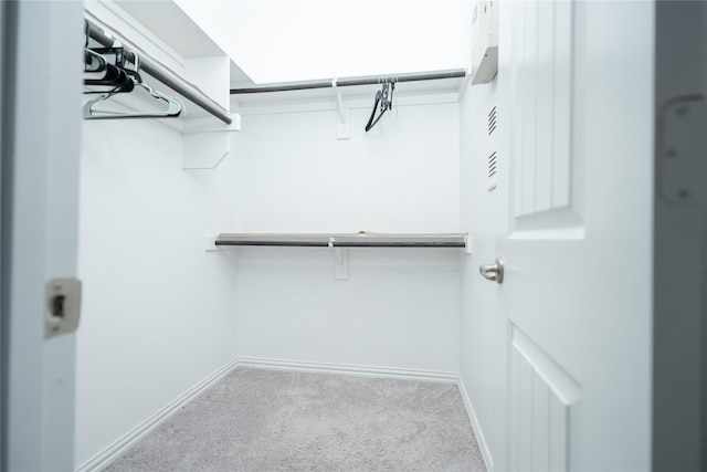 spacious closet featuring light colored carpet