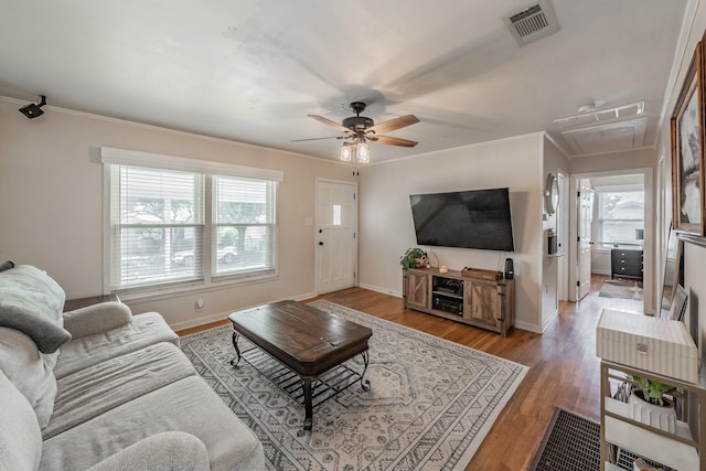 living room featuring a healthy amount of sunlight, wood-type flooring, and ornamental molding