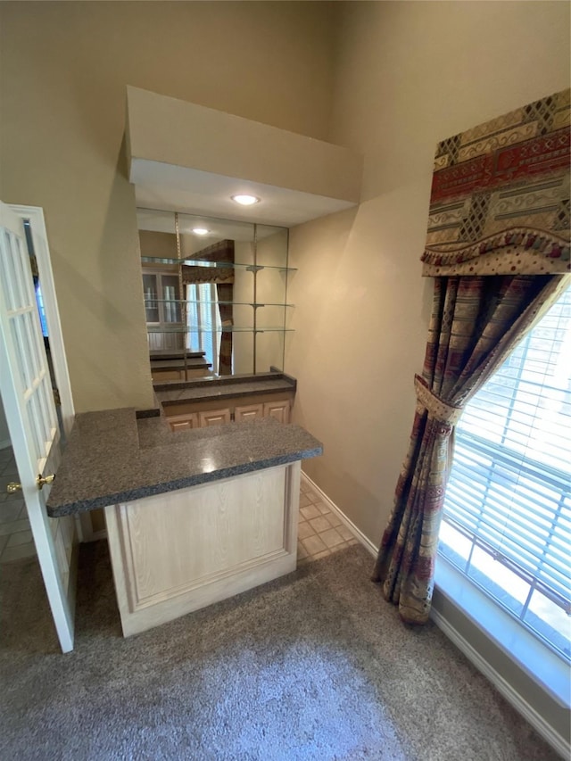 bar featuring baseboards and carpet floors