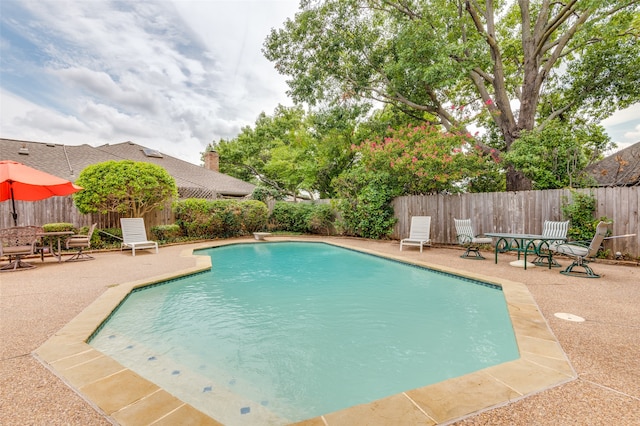 view of pool featuring a patio