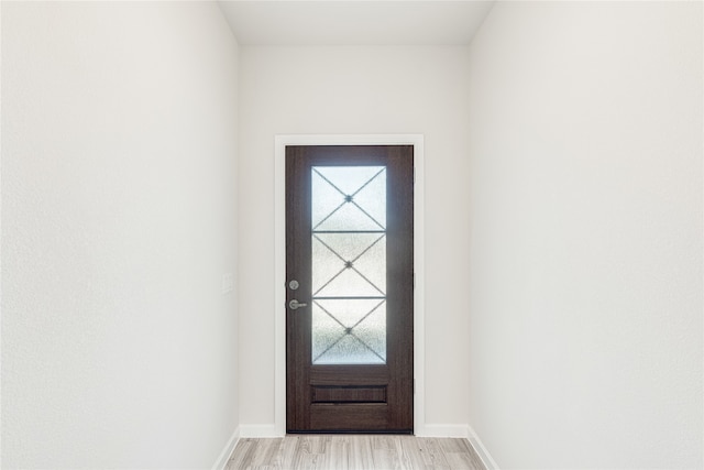 doorway with a wealth of natural light and light wood-type flooring