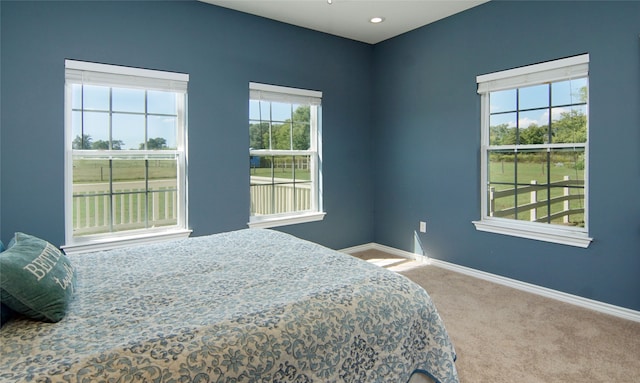 bedroom with multiple windows and carpet flooring