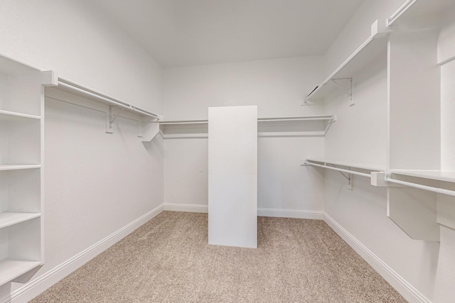 spacious closet with light colored carpet