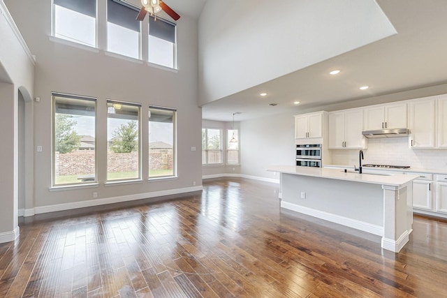 kitchen featuring sink, dark hardwood / wood-style floors, an island with sink, and white cabinets