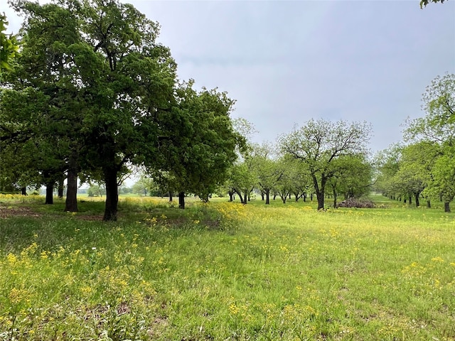 view of nature featuring a rural view