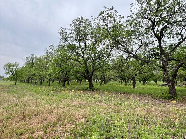 view of nature featuring a rural view