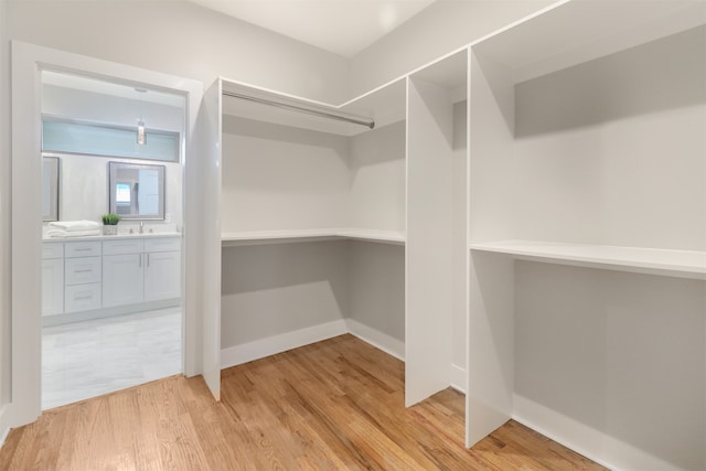 walk in closet featuring sink and light wood-type flooring