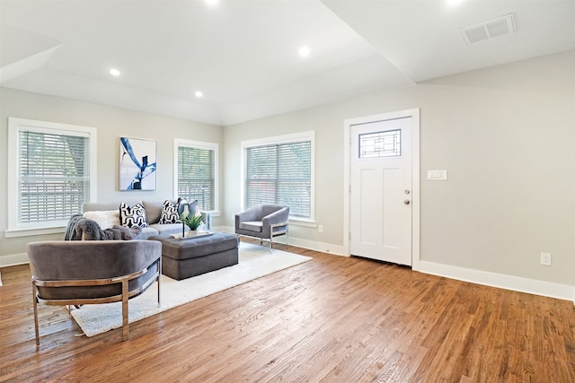 living room featuring wood-type flooring