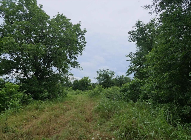 Listing photo 2 for TBD W Fm 71, Talco TX 75487