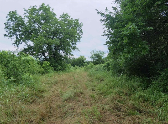 Listing photo 3 for TBD W Fm 71, Talco TX 75487