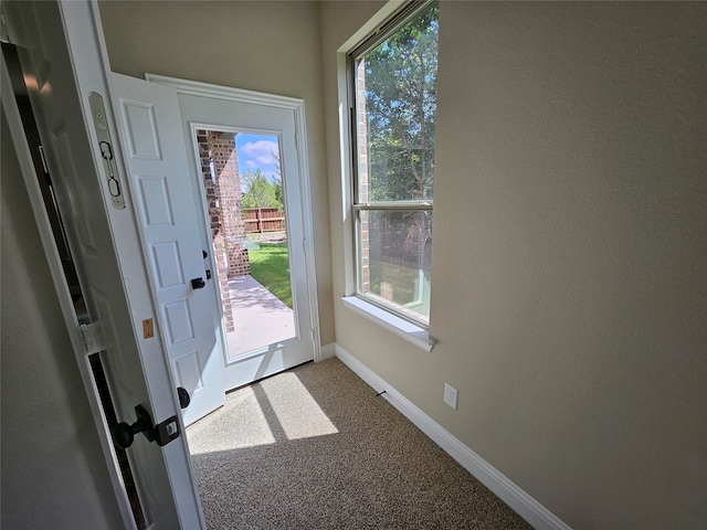 doorway featuring carpet floors and a wealth of natural light