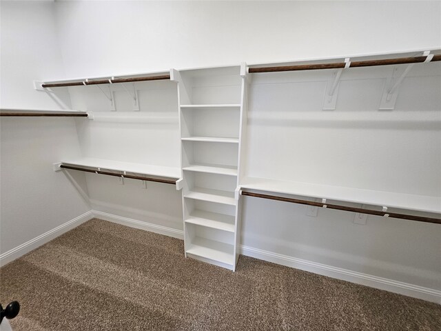 spacious closet with carpet flooring