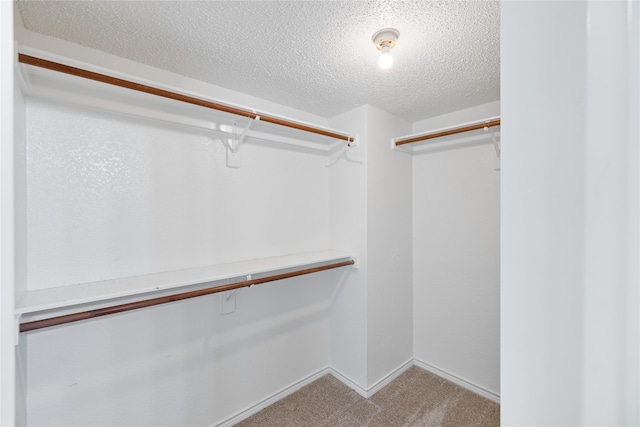 walk in closet with light colored carpet